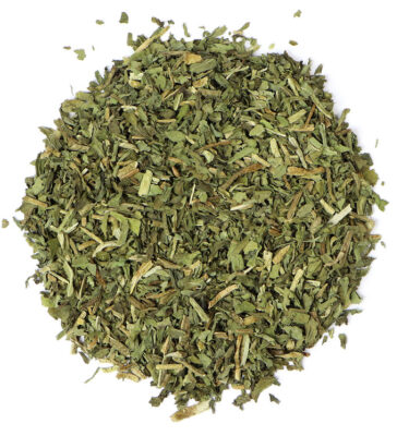 chicory (cichorium intybus)