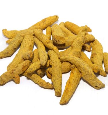 turmeric (curcuma longa)