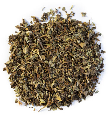 basil (ocimum basilicum)