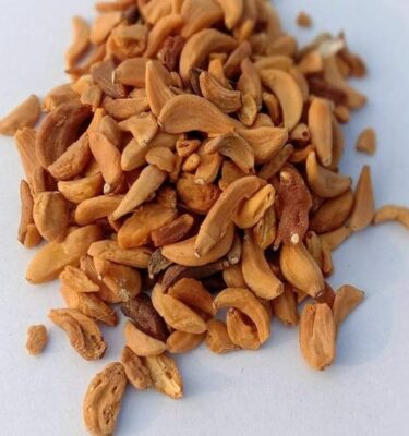 dried garlic (allium sativum)