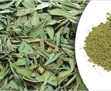 henna (lawsonia inermis)