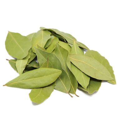 bay leaf (laurus nobilis)